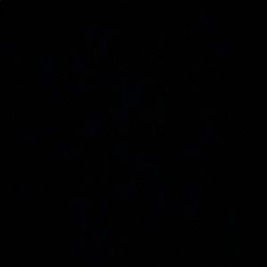 Meet your Posher, Terri